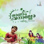 Daya Bijibal Songs MP3 Download
